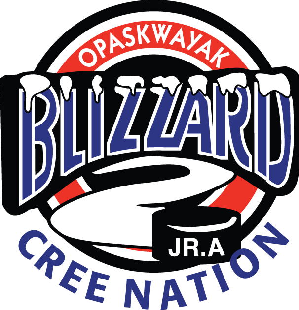 OCN Blizzard 1996-Pres Primary Logo iron on heat transfer